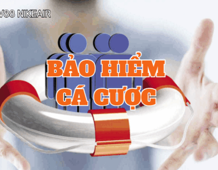 bao hiem ca cuoc w88