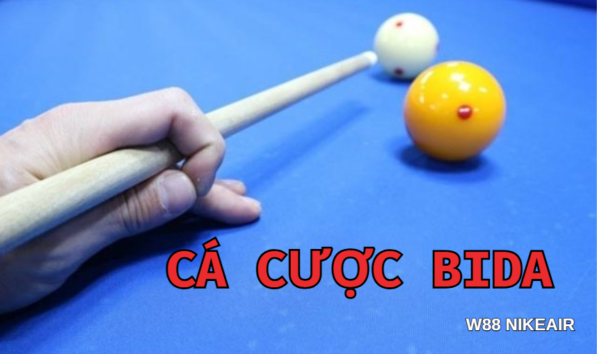 Cá cược bida W88