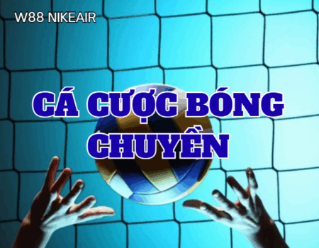 ca cuoc bong chuyen w88