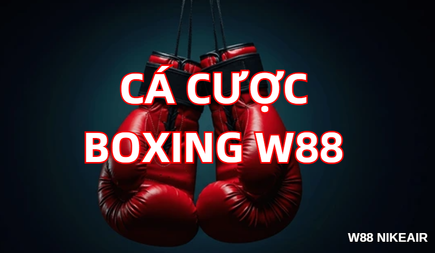 ca cuoc boxing w88