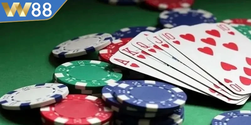 Cách Chơi Catte Thắng Lớn Từ Các Cao Thủ Hàng Đầu 3 Những kinh nghiệm trong cách chơi Catte từ cao thủ giúp bạn thắng lớn