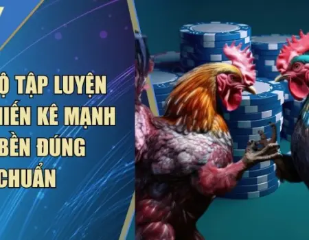 Chế Độ Tập Luyện Cho Chiến Kê